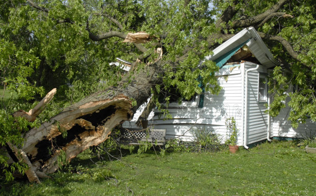 Carbondale damage